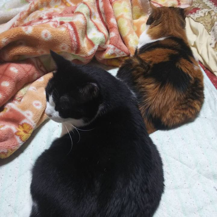 00abbd0e 34b8 48cc a255 abf32ee47dfb 1557176716213