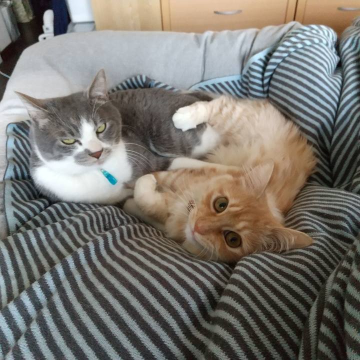 00abc243 b082 40cf be8a d570c0bd48f6 1644641420573