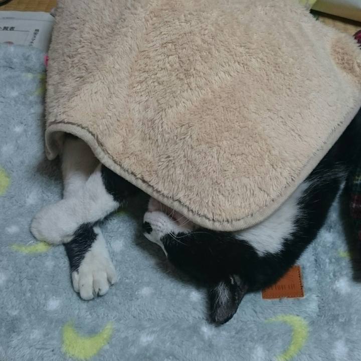 00abdec9 76df 462c a669 0e03228d52af 1515667910486