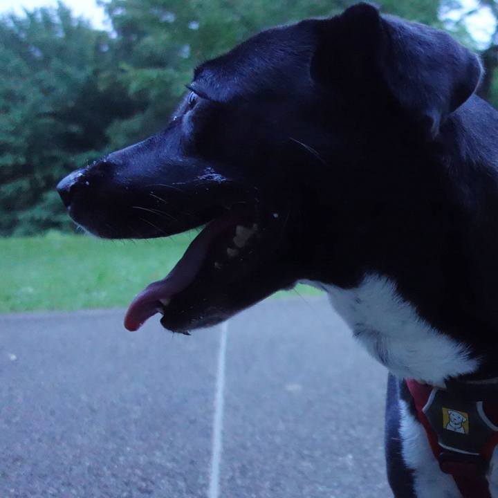 00abf585 05be 494b b51e ca90be445b22 1595326811598