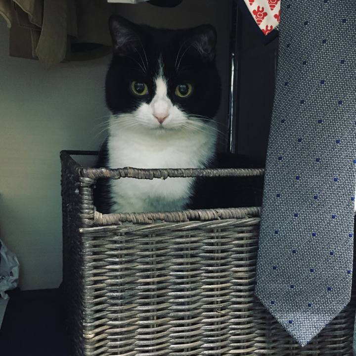 00ac0de0 e93f 4c8e bc9d 267f0513a809 1589794075955