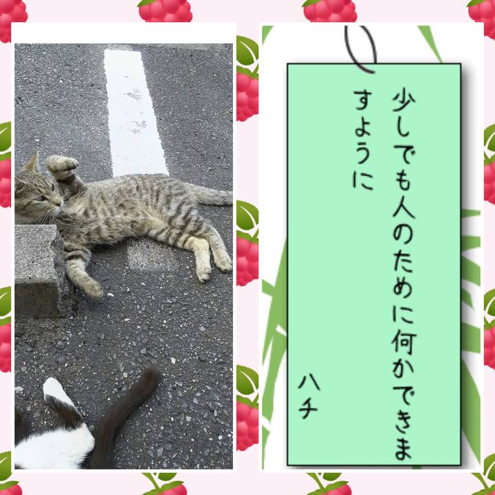 00ac0f6a c3e8 411d 801b 54c86bb45e6f 1530955793876