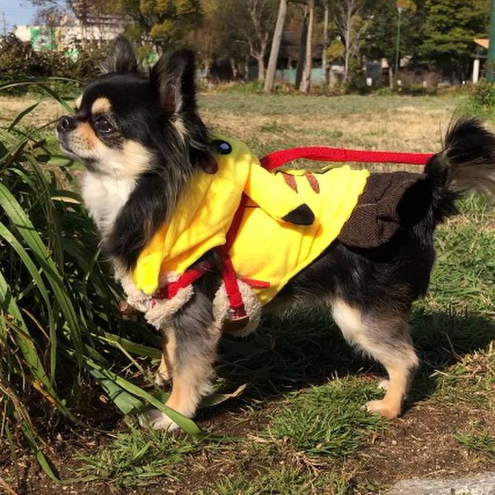 00ac4648 6cdb 4d81 9278 6ba2e9279978 1582530515939