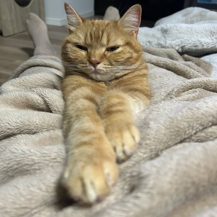 00ac6244 30d2 4dd0 826f dfef9eb40a35 1715946904398