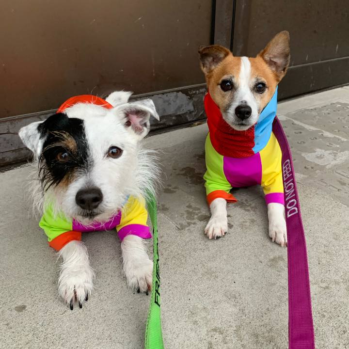 00ac6acb 30fe 4923 b052 7f28454e922f 1615192122149