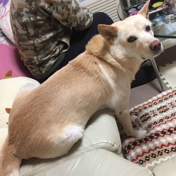 00ac87f2 98a4 49ec 9ef1 7c80c52187ab 1514300259052