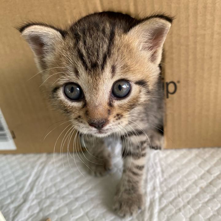 00ac900c 2c0a 44e4 9ec5 97a6b98a1f11 1596182787010