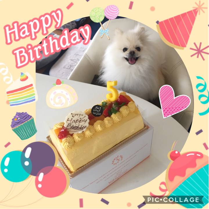 00ac998d 599c 4e30 9462 0624d93db734 1597013877733