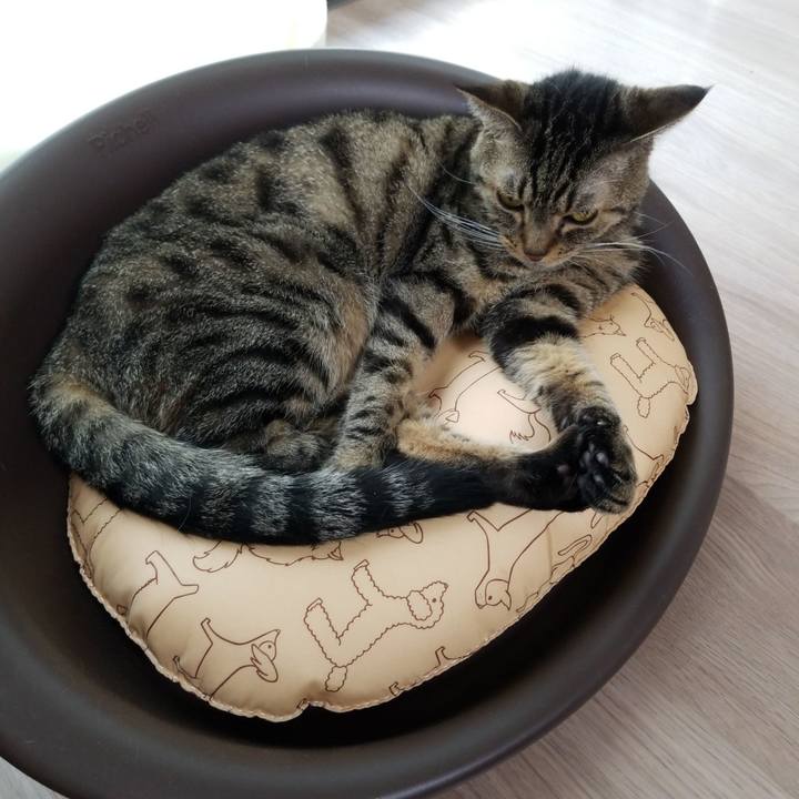 00acaf0d 42b3 445a a01b 0fb2edbc2450 1567810078286