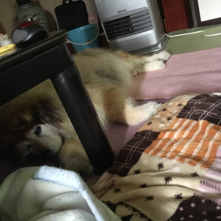 00acd78a 879d 4fe0 a517 28c0b8c51c11 1556665963250