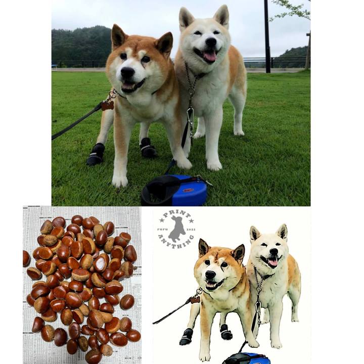 00acfc6d 01e9 4eb6 b4aa 3fefe34641f1 1632964012976