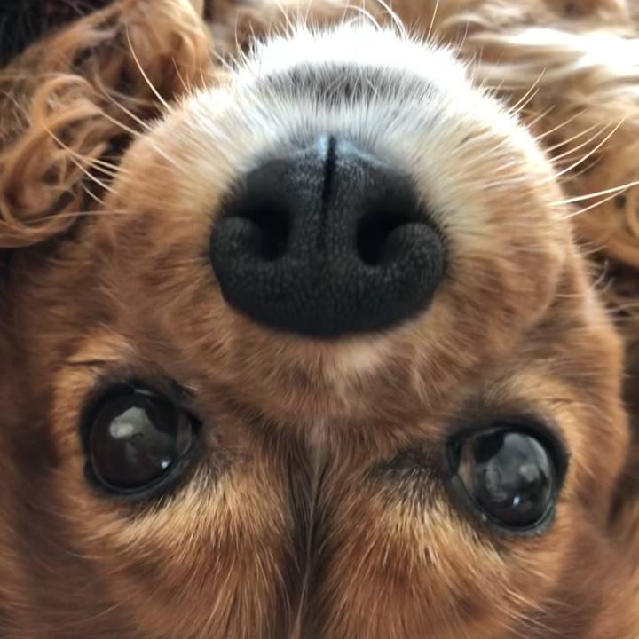 00ad0deb ca94 4b74 8feb f5320c051446 1650090857656