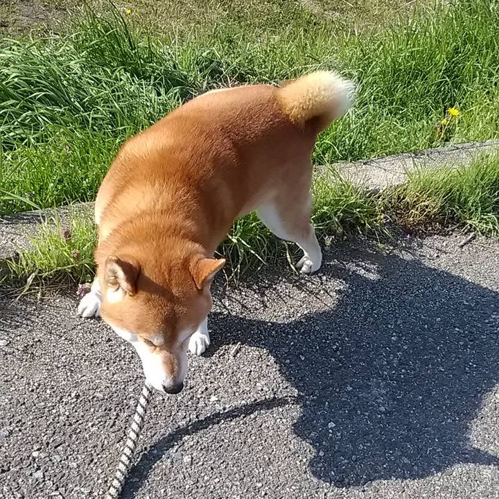 00ad13a7 0591 4aa2 b4e2 16251cebb620 1649577143643