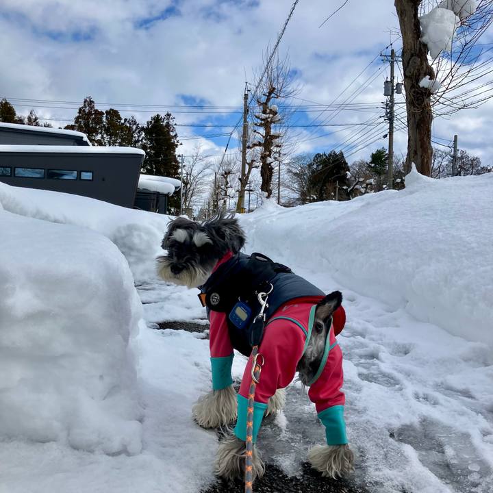 00adcdc8 7273 4da2 9eca 8598ad71f91f 1739107075528