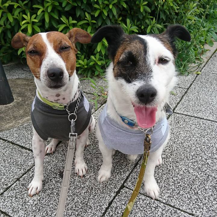 00add1c6 9bf7 48e2 8c0b 03534edebb2a 1594425881635