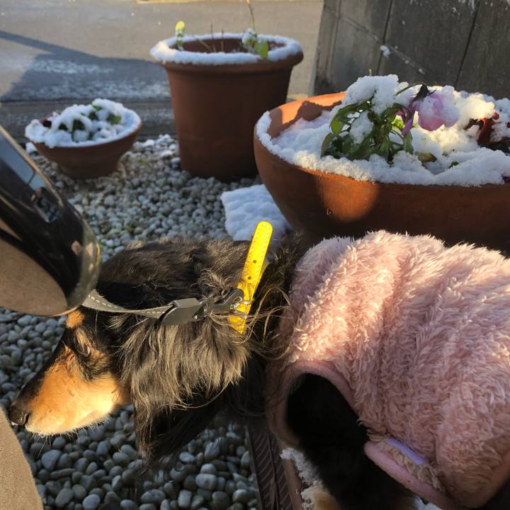 00adf23b 7b19 4baa 9e91 8db1e8a9e328 1611964294079