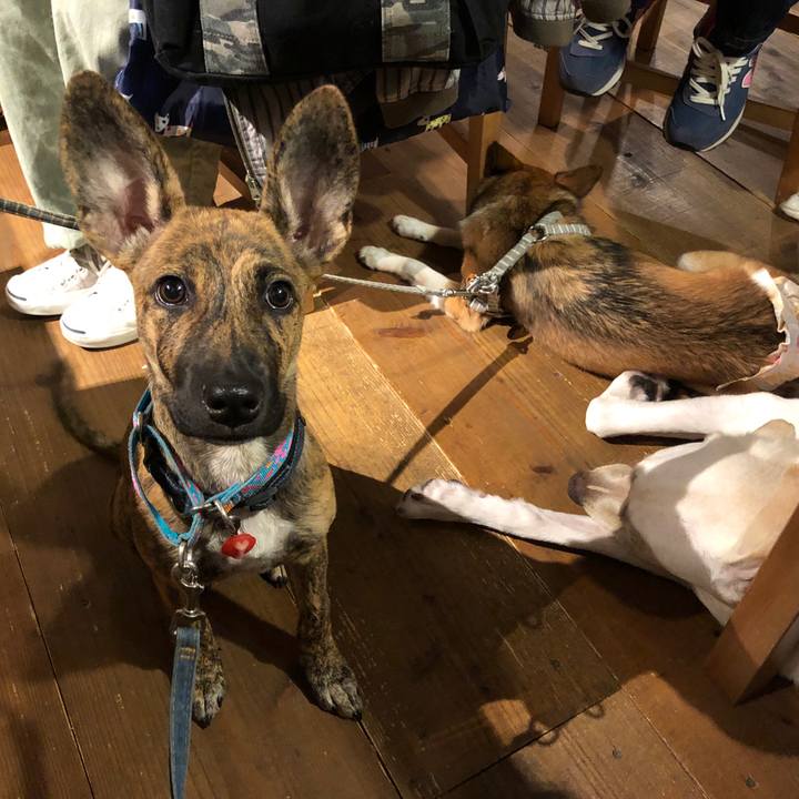 00ae0d46 8076 491d ba27 da5238f6db86 1571528917323