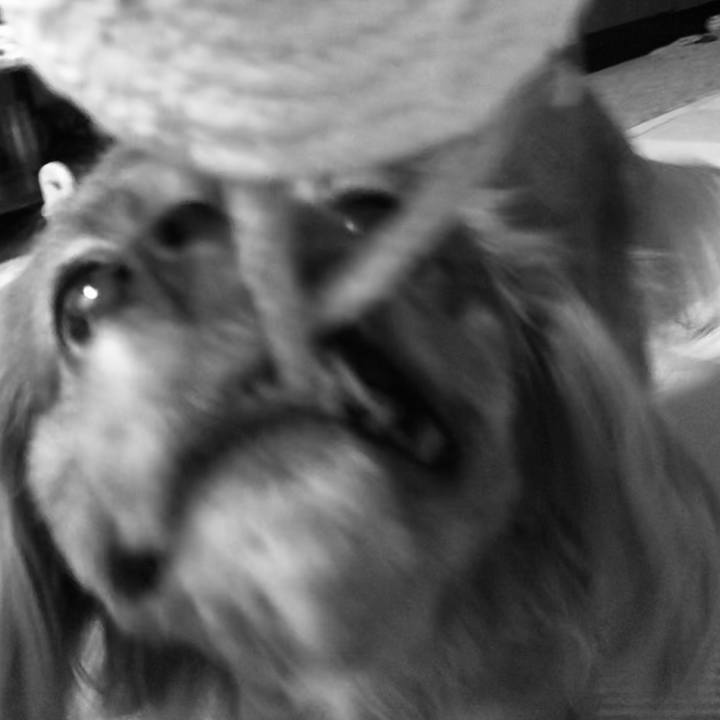 00ae2a89 3f19 4a16 a3e4 96e34b6a03d8 1598788325479