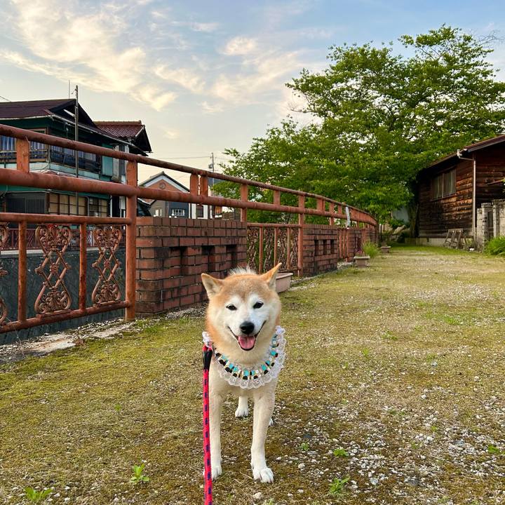 00ae4c8b c913 4df3 996a 8d7851900fe8 1717242072635