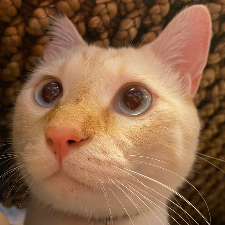 00ae4ca8 b523 4356 8d83 62a9ce0335fe 1629393361472