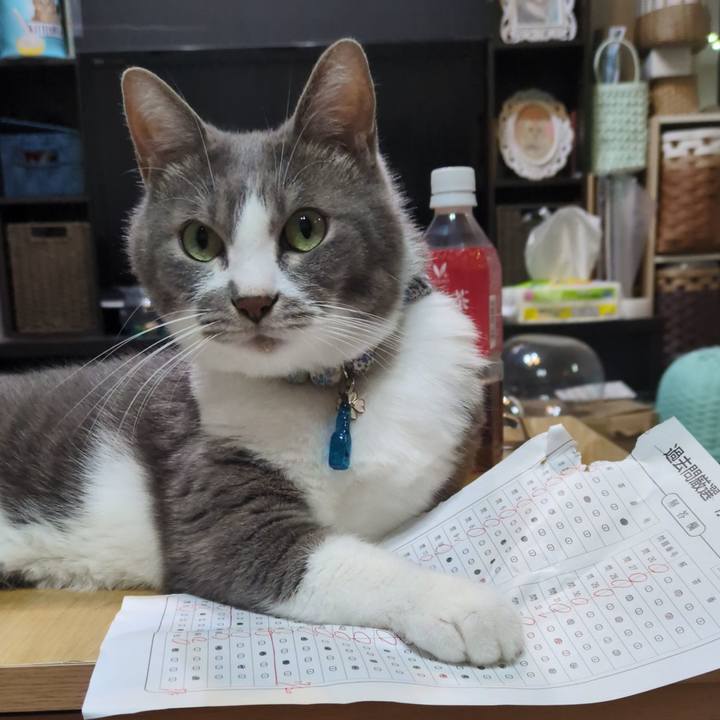 00ae4f03 cca5 47af a8e9 75d281865872 1756122952894