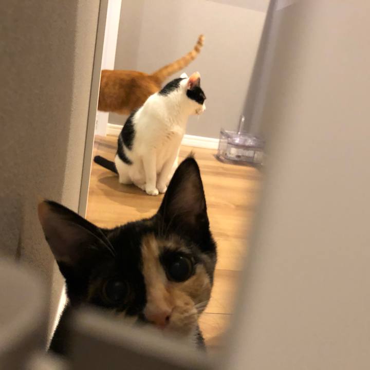 00ae644b 9bfe 480b 9f1d 0d4e20163696 1628644736081