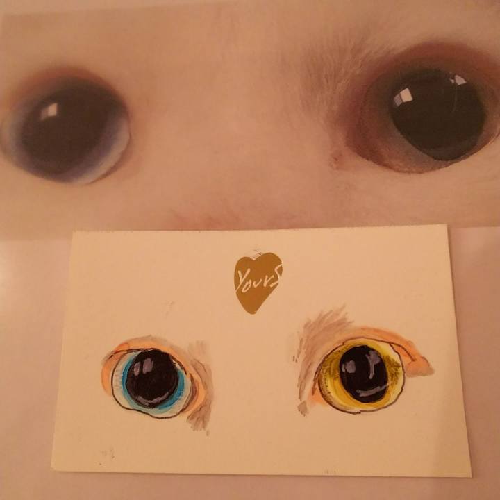 00ae7842 39b1 49a2 bc7c 7a7dc8d4c646 1535175491061