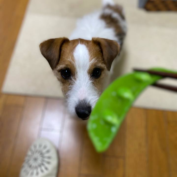 00ae80d7 c30d 4e13 8b26 fbad905805ed 1713614617909