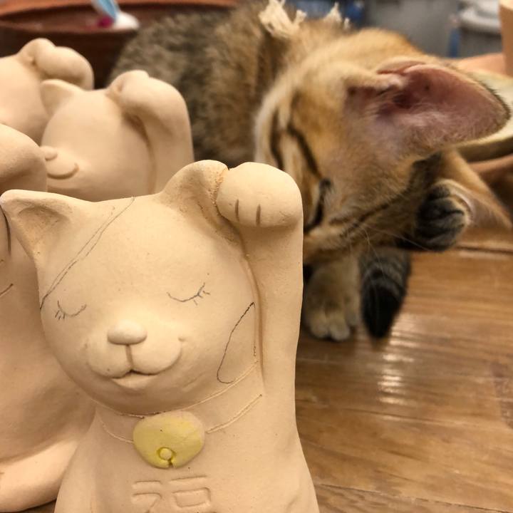 00ae97ec 2544 4628 a63f 6d5e0a40c0e9 1577025223354