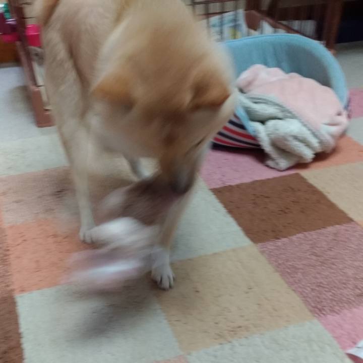 00aec9d6 ede3 452d 9752 92cf6f5a84ce 1577227746131