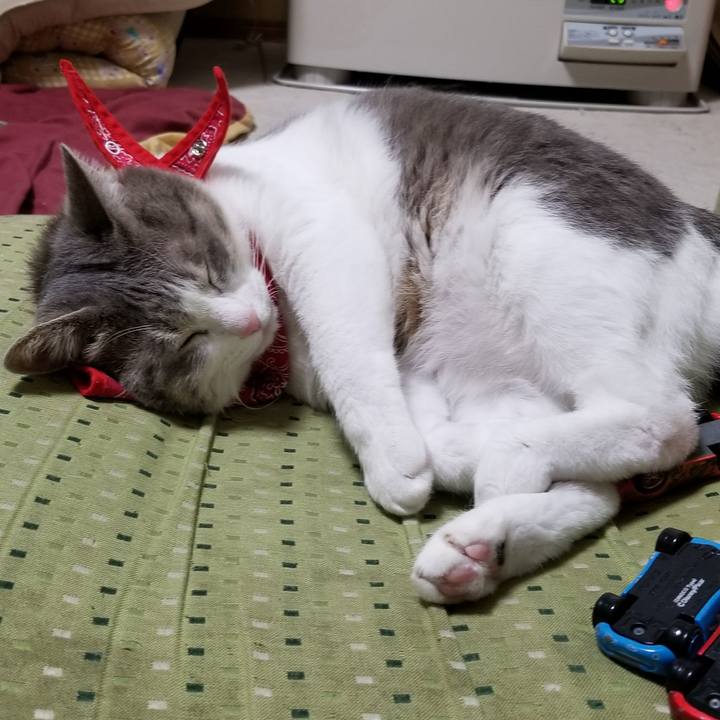 00af5ca9 0e2f 4437 b288 b54693eaa135 1512044321406