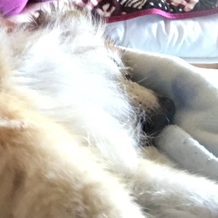 00b00223 a624 4484 a624 635cafd5d0be 1576460362805