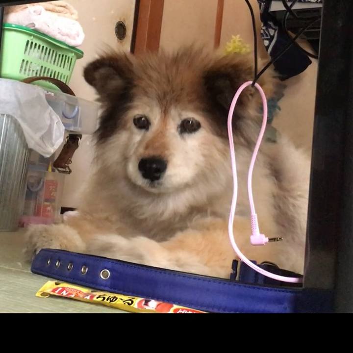 00b033ff f1d2 408f 8152 fc803c46122f 1621995235039