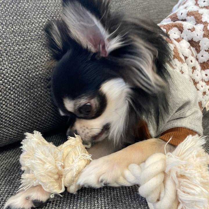 00b04fc7 712b 49ab a8b0 722a299e0ef7 1612048092816