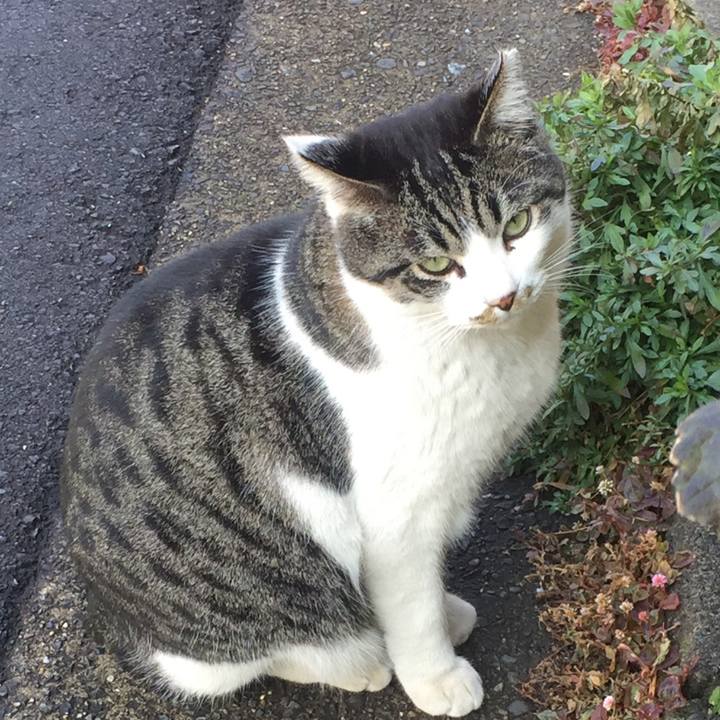 00b054b1 be9b 48dc 9090 be4c5917e520 1644913805071