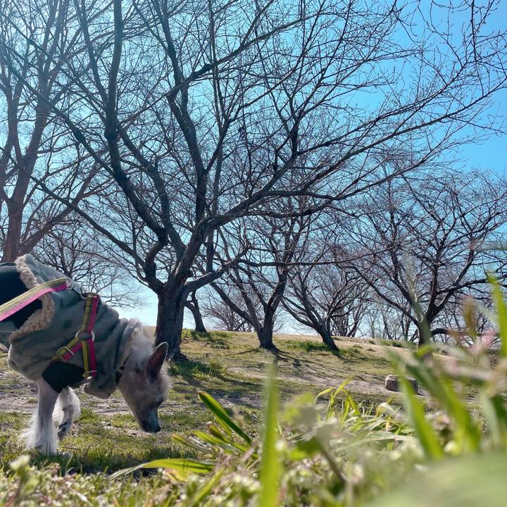 00b0b834 cc74 493f 9057 1f9e519eb94c 1773635939820