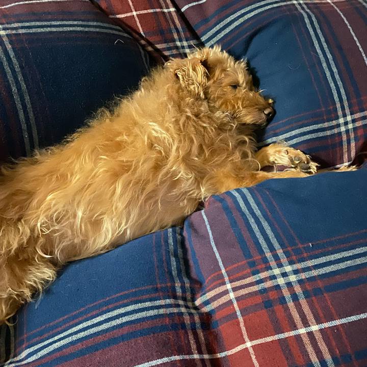 00b0c52c 3e12 4faf 84fa 505eac5b0048 1678969324342