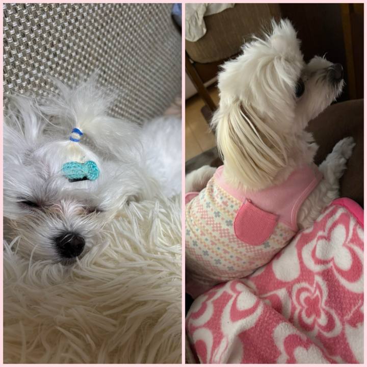 00b13c85 65c2 4ce5 8ecc 3e298f45508d 1733050342149