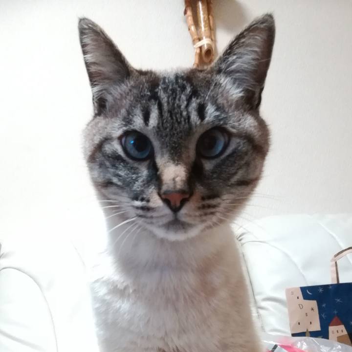 00b14a0a a9a0 490b 99b9 2c6086536eda 1551614362593