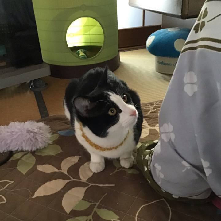 00b1a8d7 c939 4045 836e 2243532f06cb 1645691068003