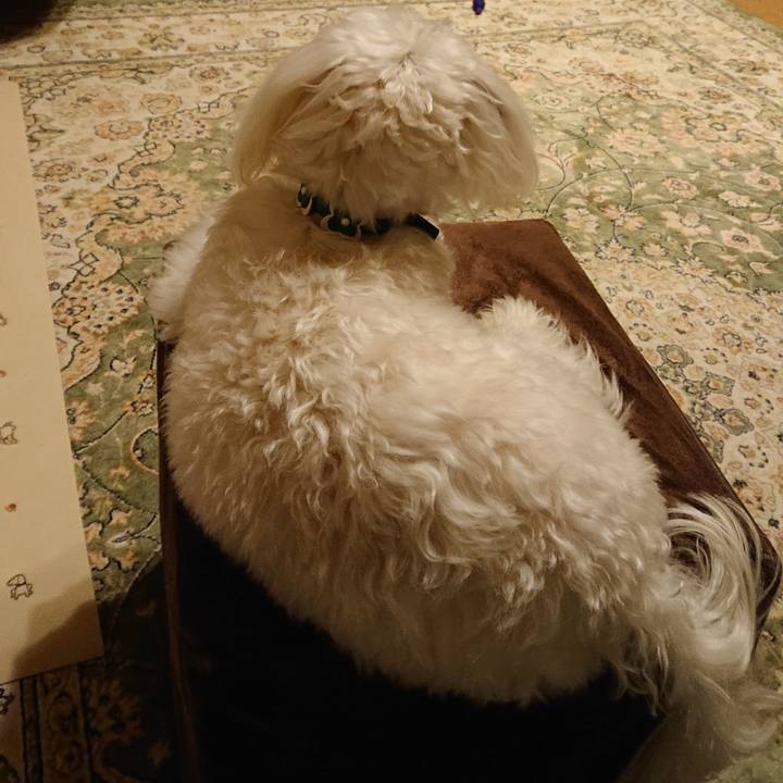 00b1c2f8 aaf8 413d acc8 bf95aa11b87a 1589504871756