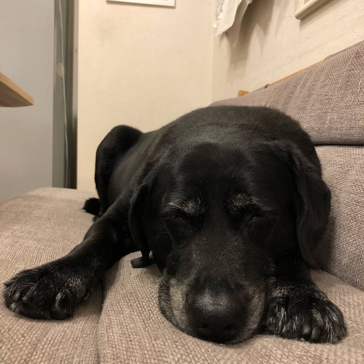 00b1e477 6965 45be b3b0 0dc0924f13a9 1594550005088