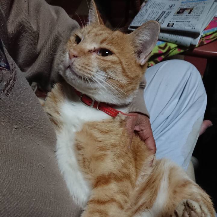 00b1e8f0 cb40 445e 8f89 23584e79cf70 1571605448834