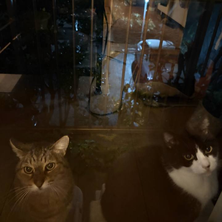 00b220a8 fefb 46c1 a9c4 9ff93b74c919 1762689685458