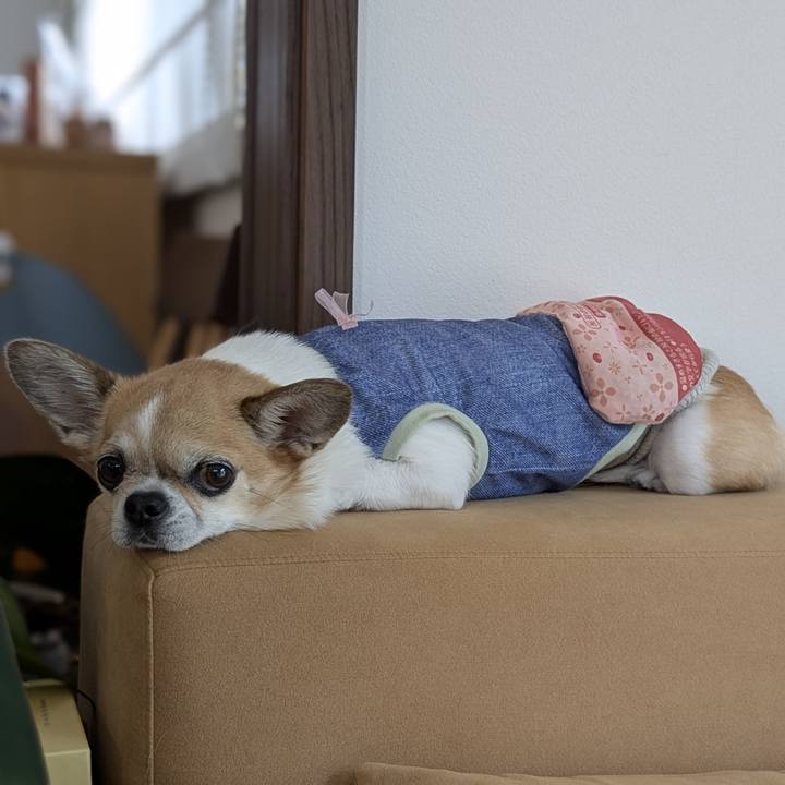 00b26330 0285 4537 bba2 f0a3913d286d 1751237952530