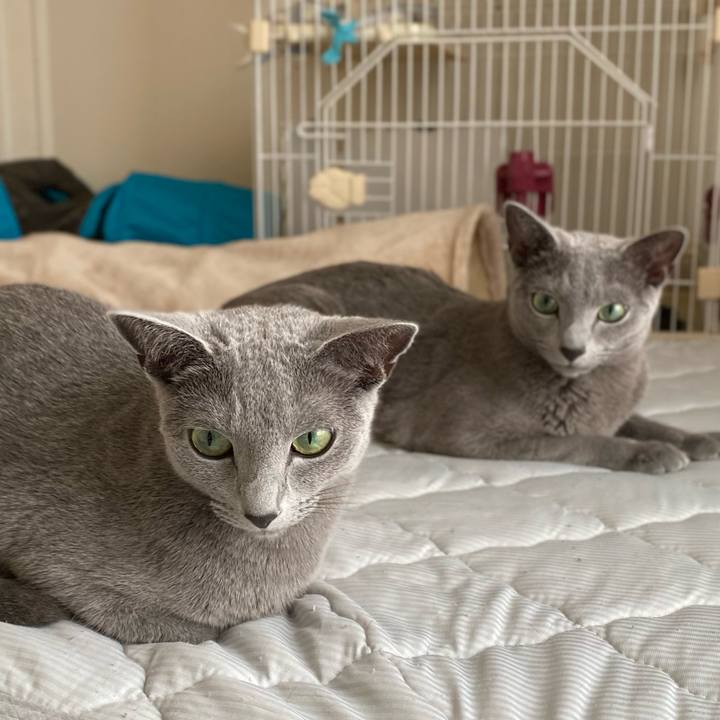 00b2650e ca1d 4806 9c5a 12fa01131ad1 1659674695205