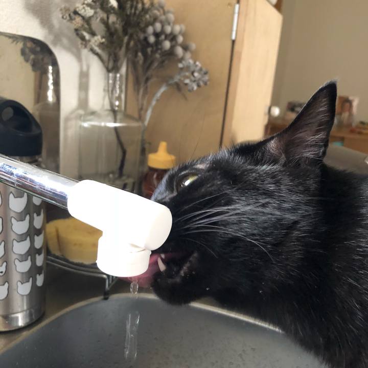 00b2953e 98a8 4f13 888e 6c87d43dc20a 1540693509659