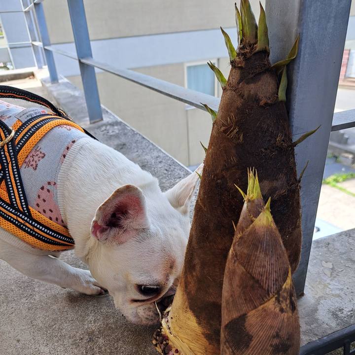 00b29f9b 9261 4bc2 b9d4 30a45ee99b5f 1713655480444