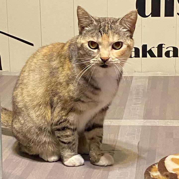 00b2a288 6ac4 4a57 9c9e 7f66ba2eb497 1616157046600