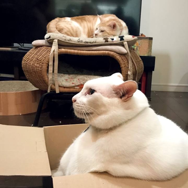 00b2f641 300f 44b6 8856 1726b92d3a04 1633099920634